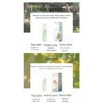 10PCS Mini Travel Size 3ml Perfume Women Men Unisex Fragrance Set Eau De Toilette Gift for Her Him Deodorant Body Spray - Image 13