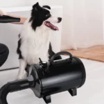 2000W-2800W Pet Hair Dryer, 35°C and 65 °C, Speed: 50m/s ~ 100m/s, Stepless Adjustable, 2.5M Extendable Hose, 3 Nozzles - Image 5