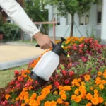 2L Garden Pressure Sprayer Portable Hand Pump Chemical Weed Spray Water Bottle. - Image 2