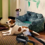 VickyHome Pet Dog Cat Grooming Hairdryers Professional 2800W Variable Speed Powerful Efficient Hair Fur Blower Dryer,3 Nozzles - Image 27