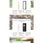 10PCS Mini Travel Size 3ml Perfume Women Men Unisex Fragrance Set Eau De Toilette Gift for Her Him Deodorant Body Spray - Image 37