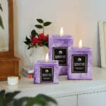 Voltsify 3Pcs Scented Candle Set for Living Room Bedroom Dining Bathroom - Image 4