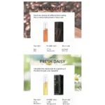 10PCS Mini Travel Size 3ml Perfume Women Men Unisex Fragrance Set Eau De Toilette Gift for Her Him Deodorant Body Spray - Image 11