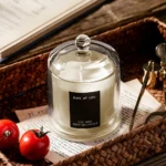Aromatherapy candle home decoration holiday gift aromatherapy plant candle smokeless with glass cover - Image 3