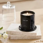 Voltsify Soy Wax Scented Candle Lime Basil and Citrus & Valley After the Rain & Sky Cypress