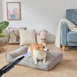 VickyHome Pet Dog Cat Grooming Hairdryers Professional 2800W Variable Speed Powerful Efficient Hair Fur Blower Dryer,3 Nozzles - Image 29