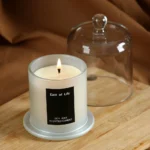 Aromatherapy candle home decoration holiday gift aromatherapy plant candle smokeless with glass cover - Image 5