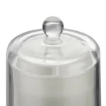 Aromatherapy candle home decoration holiday gift aromatherapy plant candle smokeless with glass cover - Image 12