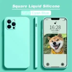 Luxury Liquid Silicone Shockproof Case for iPhone 17 11 12 13 14 15 Pro Max 7 8 15 Plus X XS XR Max Mini Back Soft Cover - Image 13