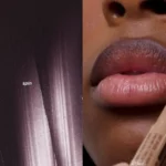 With box Skin Peptide Lip Shape Pen Lip Liner Long Lasting Lip Tint Pencil Pen Makeup Lipstick Powder Blusher Gloss Rouge Makeup - Image 17