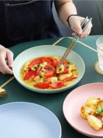 4Pcs Lightweight Wheat Straw Plates Unbreakable Reusable Dinner Dishes Plates Set Dishwasher & Microwave Safe - Image 3